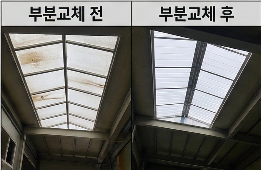 렉산 캐노피
