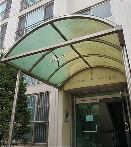렉산 캐노피