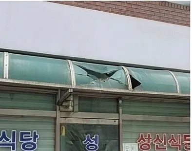 렉산 종류
